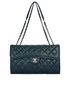 Chanel Citizen Medium Bag, front view